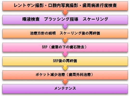 臨床家のための歯周病患者の局所矯正治療 診療について | はっとり歯科・矯正歯科｜高円寺の歯周病専門医